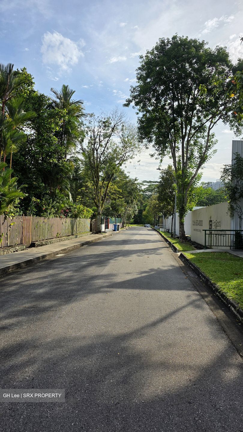 Ponggol Seventeenth Avenue (D19), Detached #498945451